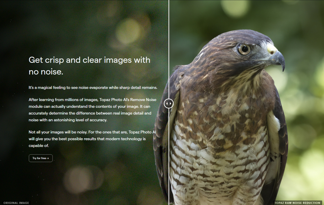 人工智能图像降噪软件，Topaz Photo AI便携版下载-2