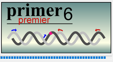 Primer Premier 下载和安装教程-11