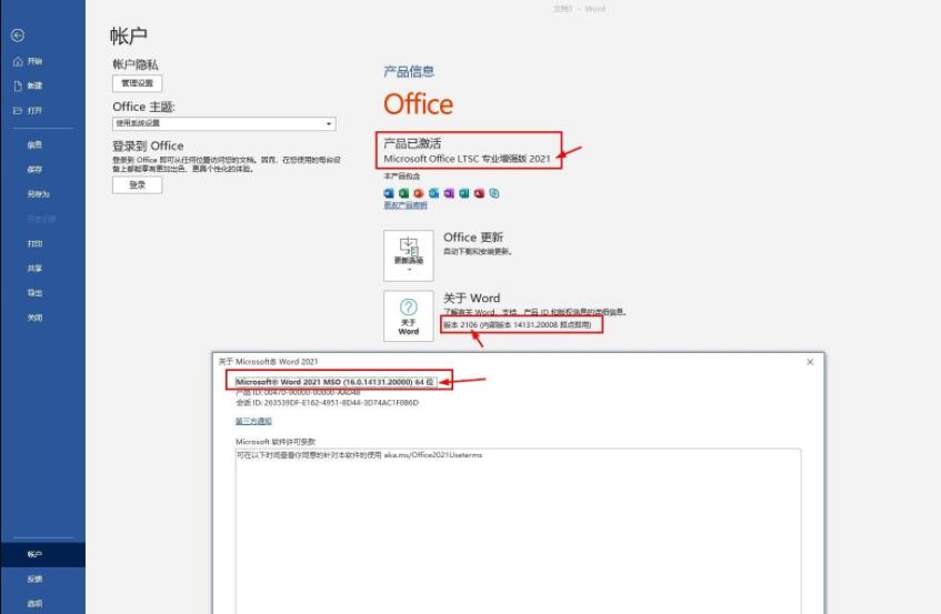 Office2021批量许可下载 Office 2021 ProPlus LTSC 16.0.14332.20493 中/英文专业增强破解版-5