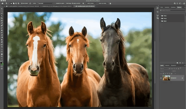 Adobe Photoshop 2023 最新一键安装解锁版 支持Win、Mac、M1、M2芯片-2