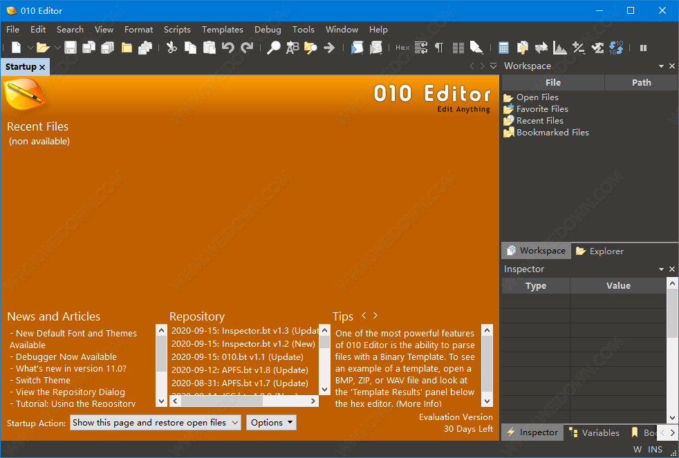 010 Editor下载 - 010 Editor 11.0.1 破解版