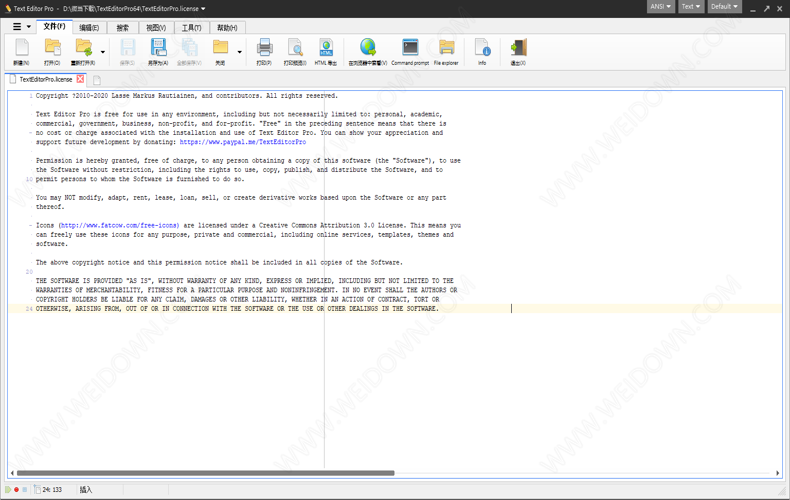 Text Editor Pro