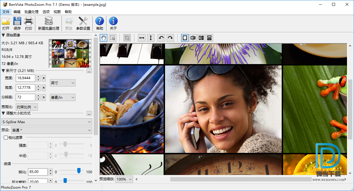 PhotoZoom下载 - PhotoZoom 图像无损放大 7.1 中文便携破解版