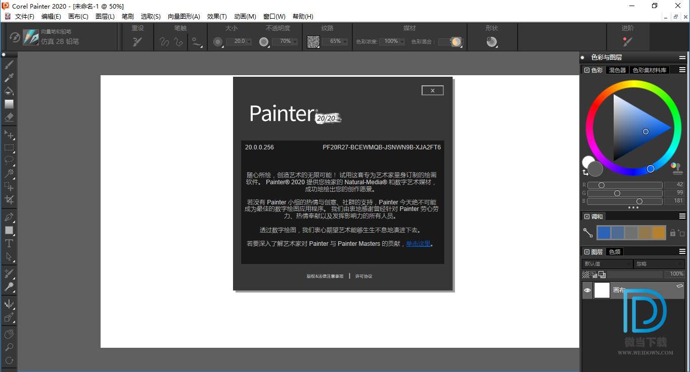 Corel Painter下载 - Corel Painter 2020 数字绘图软件 20.1.0.285 汉化破解版