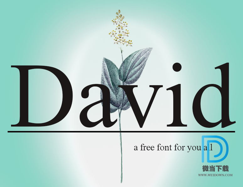 Darvid字体下载 - Darvid字体 免费下载