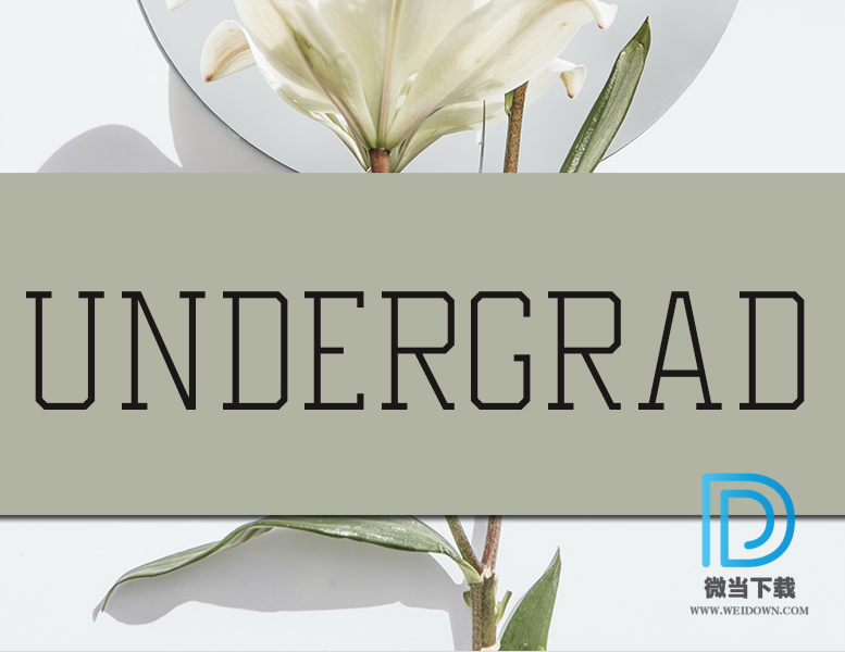 undergrad字体下载 - undergrad字体 免费下载