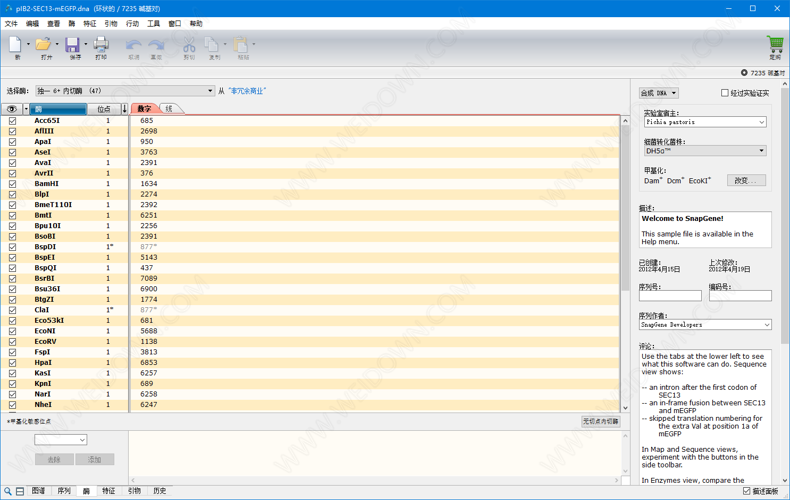 SnapGene下载 - SnapGene 5.2.2 中文破解版