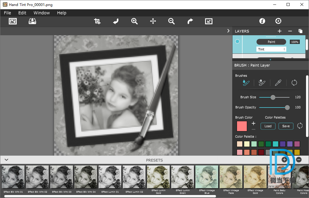 JixiPix Hand Tint Pro下载 - JixiPix Hand Tint Pro 图片调色软件 1.0.15 破解版