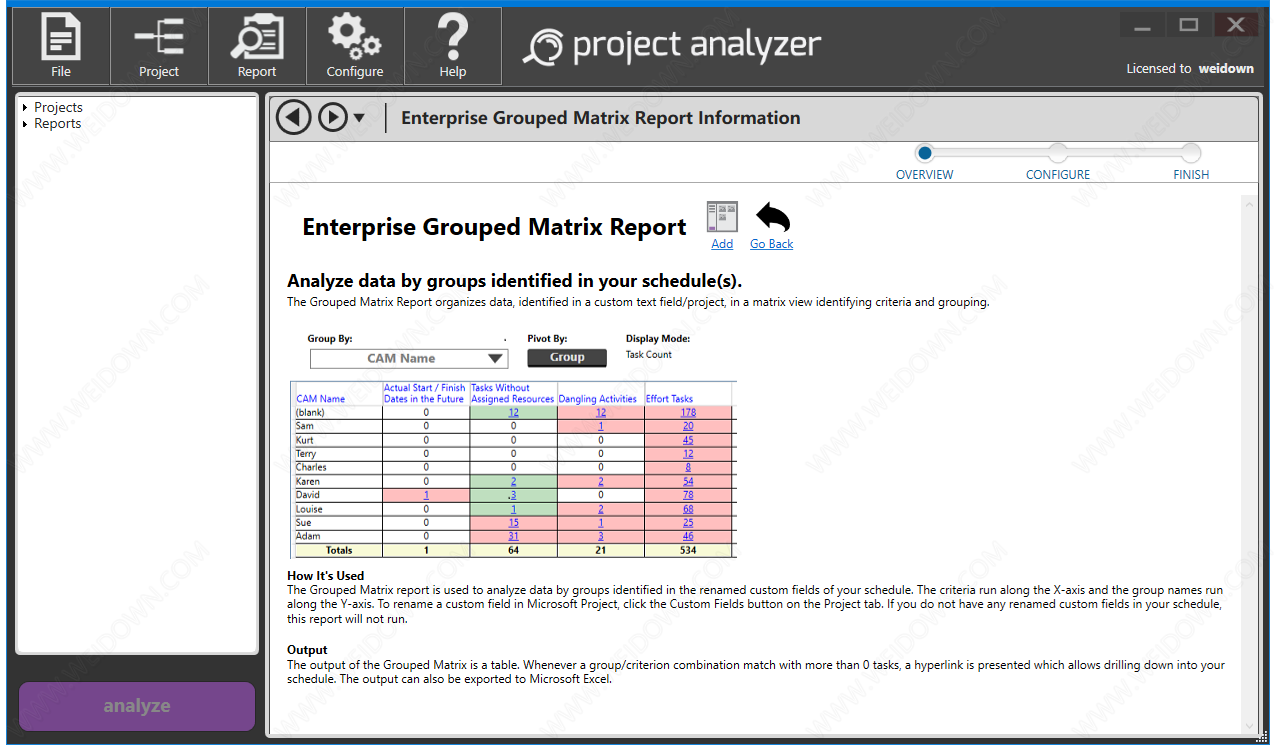 Steelray Project Analyzer