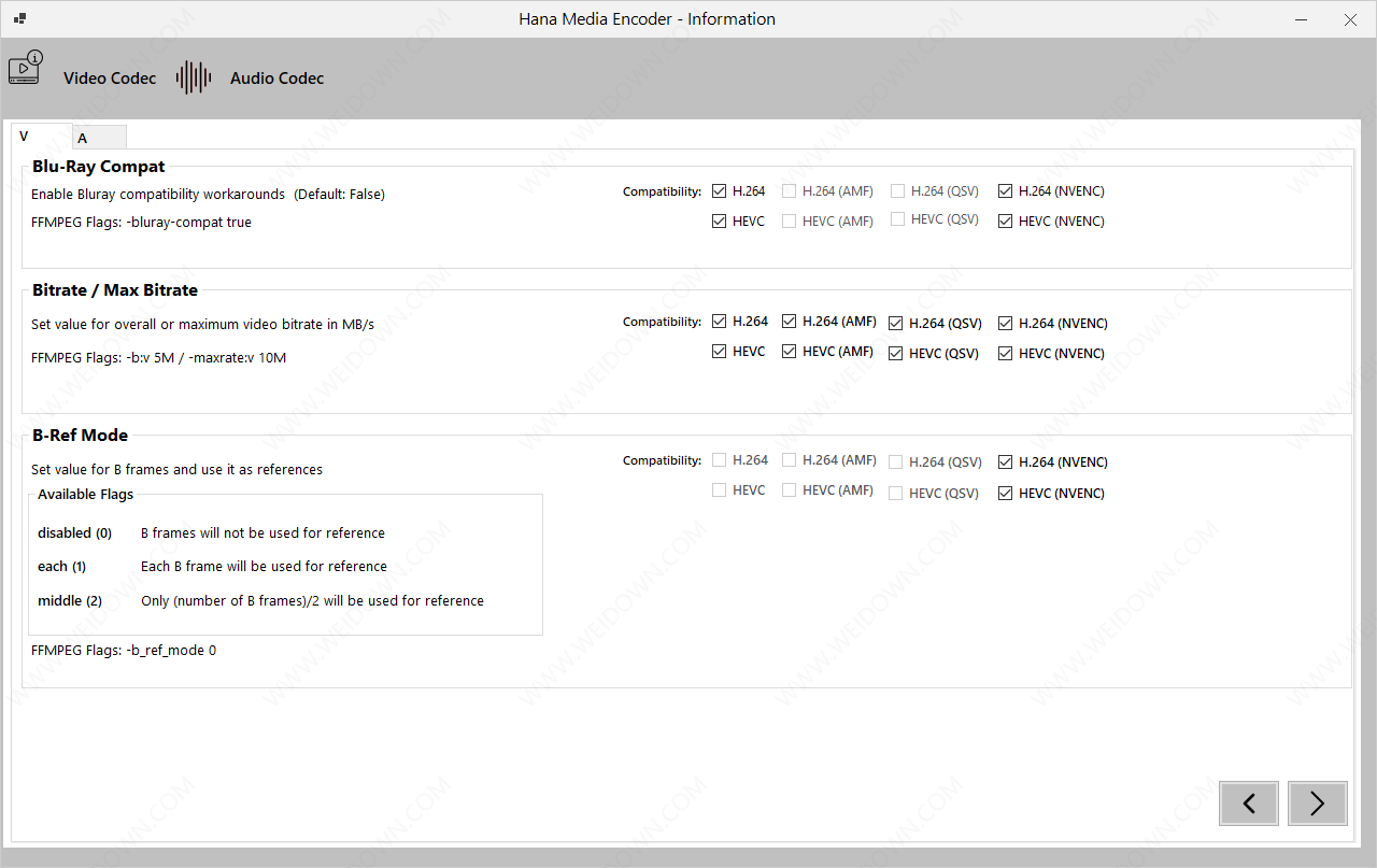 Hana Media Encoder-2