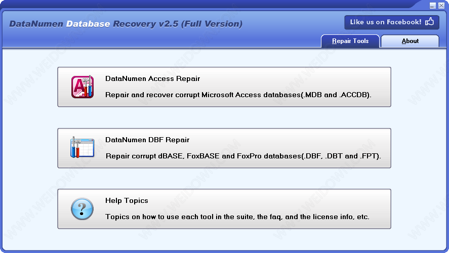 DataNumen Database Recovery下载 - DataNumen Database Recovery 2.5.0.0 破解版