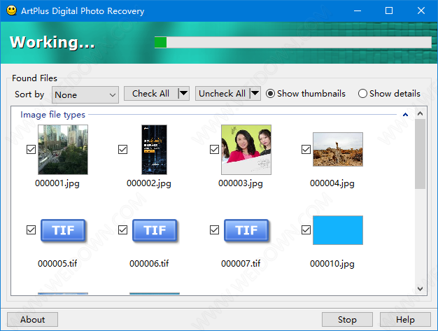 ArtPlus Digital Photo Recovery下载 - ArtPlus Digital Photo Recovery 7.2.9.220 破解版