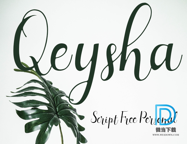 Qeysha Script字体下载 - Qeysha Script字体 免费下载