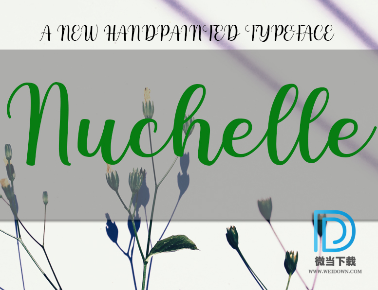 Nuchelle字体下载 - Nuchelle字体 免费下载