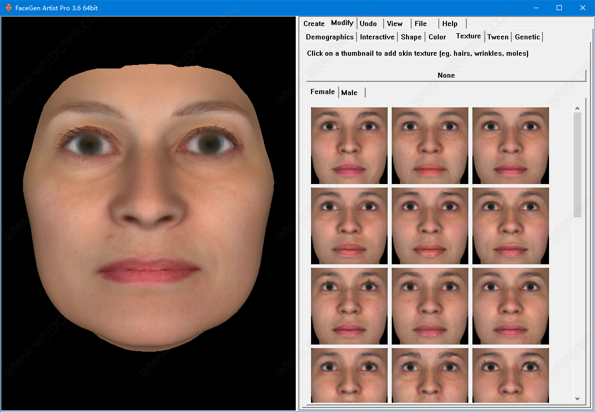 FaceGen Artist Pro下载 - FaceGen Artist Pro 3.8 破解版